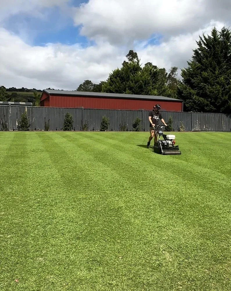 Trusted garden landscaping in Austin, TX - Brentwood Lawn Care