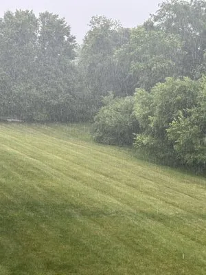 Bre’s lawn mowing service Logo