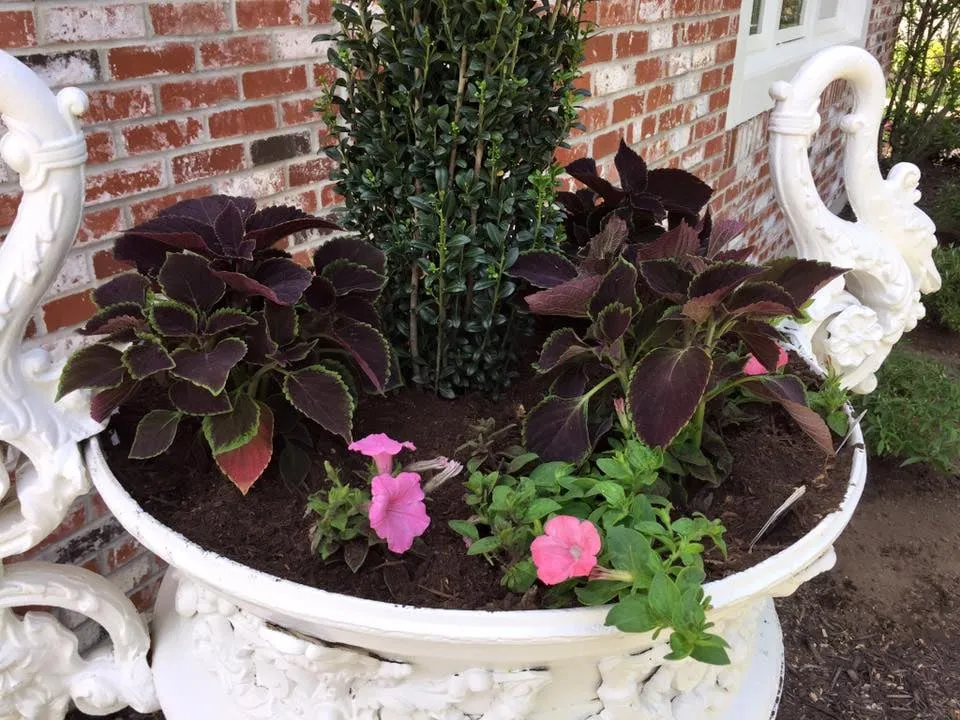 Local landscape installation in Overland Park, KS - Brettons Lawn