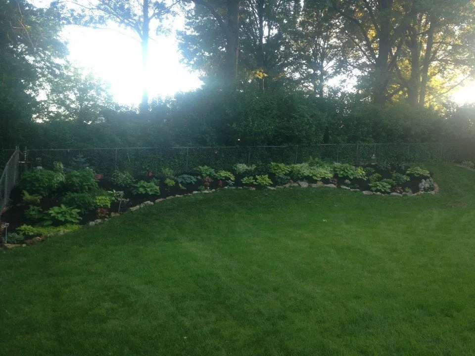 Top-rated yard maintenance near you in Overland Park, KS by Brettons Lawn