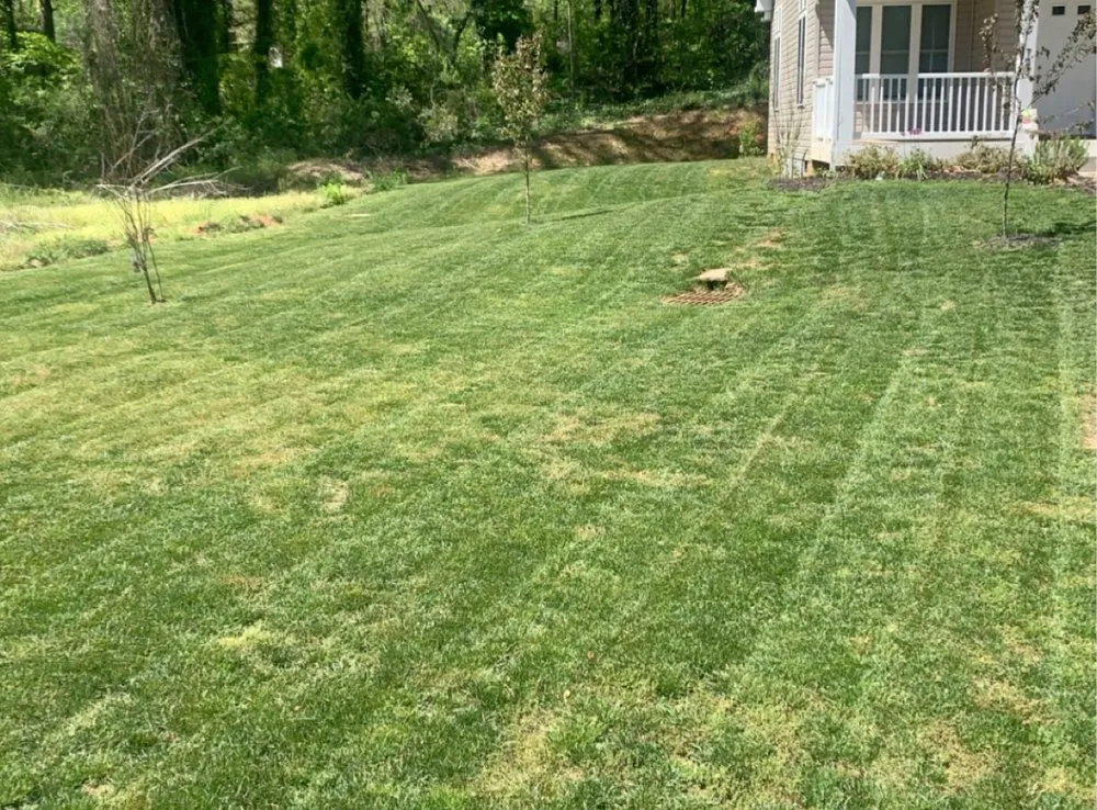 Affordable yard cleanup service with custom design across Columbus, NC - Brett’s Handyman Service