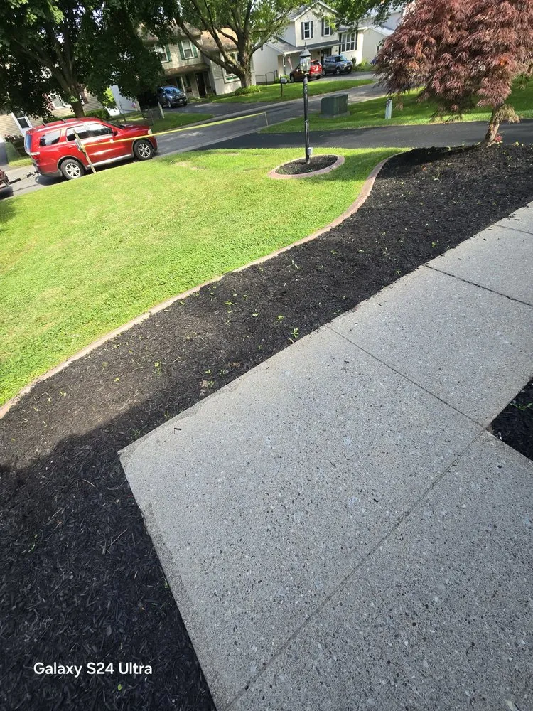 Top-rated lawn care service experts serving Albion, NY - Bretts Landscaping