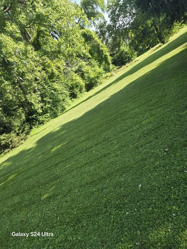 Expert landscaping services in Albion, NY - Bretts Landscaping