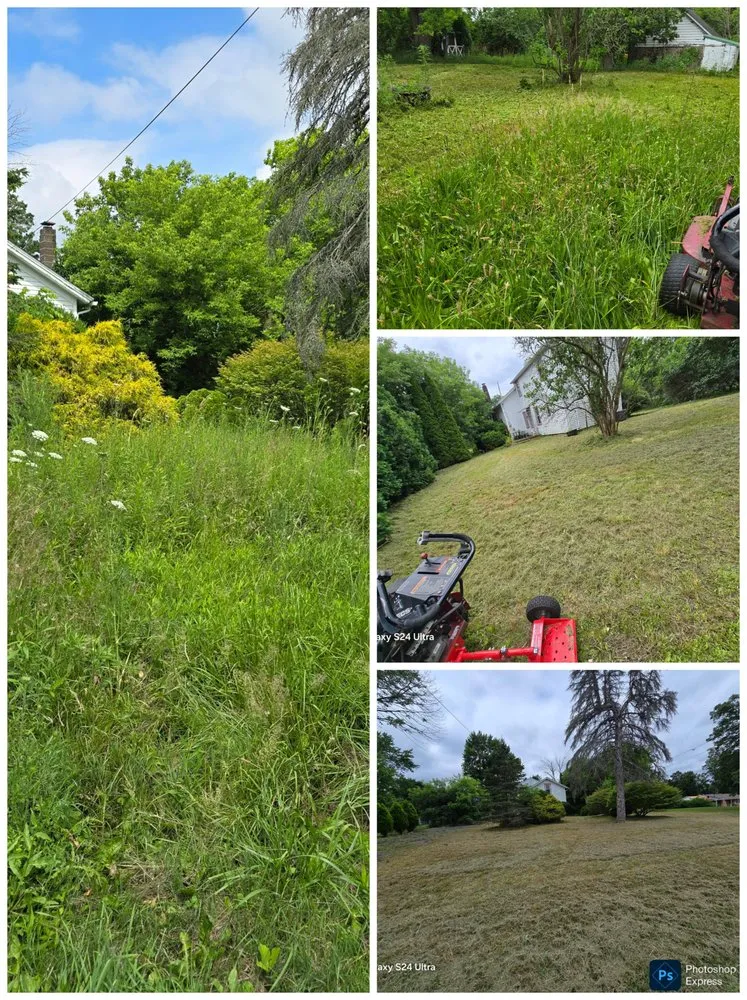 Top-rated landscaping services in Albion, NY by Bretts Landscaping