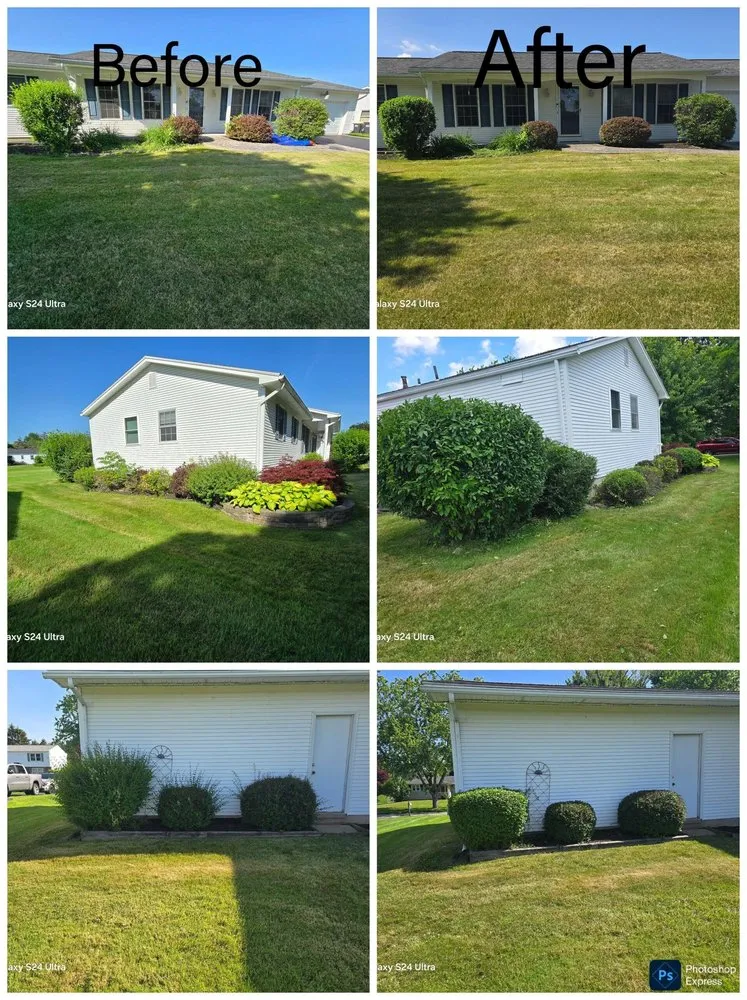 Professional yard cleanup service for year-round maintenance in Albion, NY by Bretts Landscaping