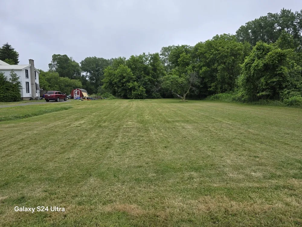 Affordable yard cleanup service in Albion, NY by Bretts Landscaping