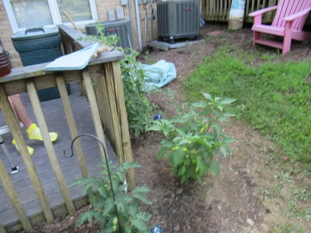 Reliable yard maintenance experts serving East Petersburg, PA - Brett's Yard Services