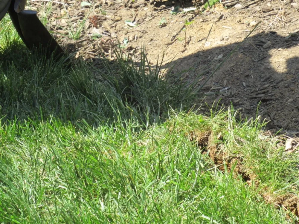 Affordable yard maintenance for homes in East Petersburg, PA by Brett's Yard Services