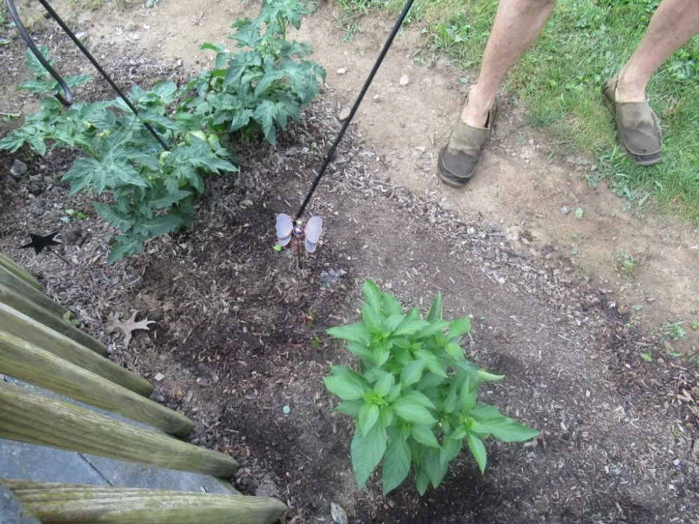 Professional outdoor landscaping in East Petersburg, PA by Brett's Yard Services