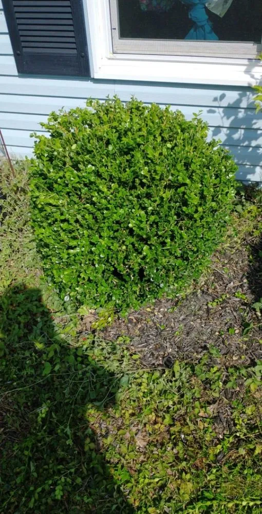 Top-rated landscape installation in East Petersburg, PA - Brett's Yard Services