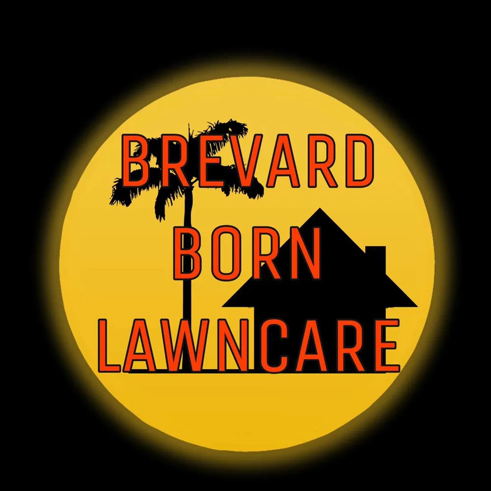 Top-rated yard cleanup service for residential properties in Port Canaveral, FL by Brevard Born Lawncare