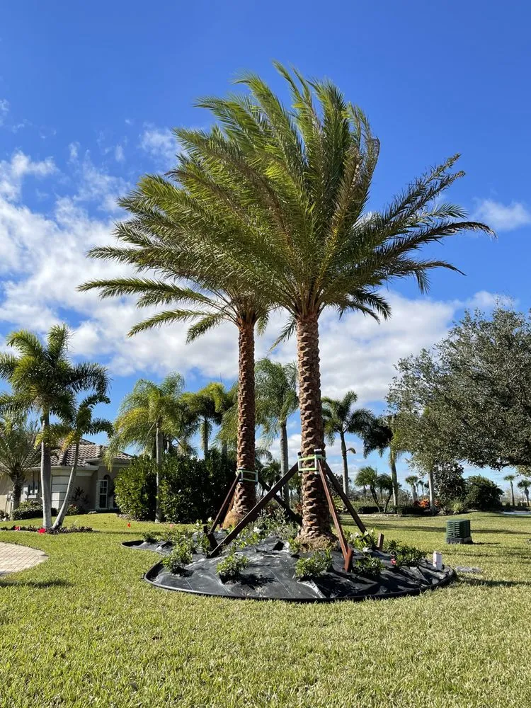 Professional outdoor landscaping experts serving Indialantic, FL - Brevard’s Best Tree Service & Landscaping
