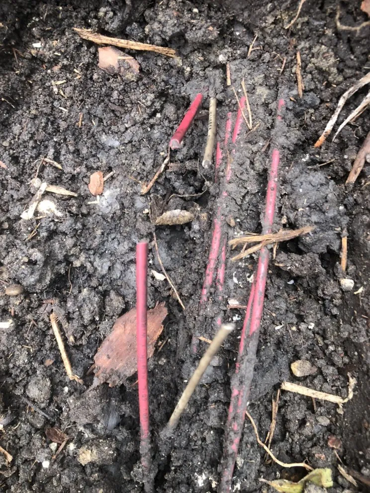 Local yard cleanup service for residential properties across Allen, TX - Brewer Irrigation