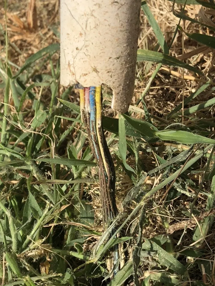 Local lawn care service near you in Allen, TX by Brewer Irrigation