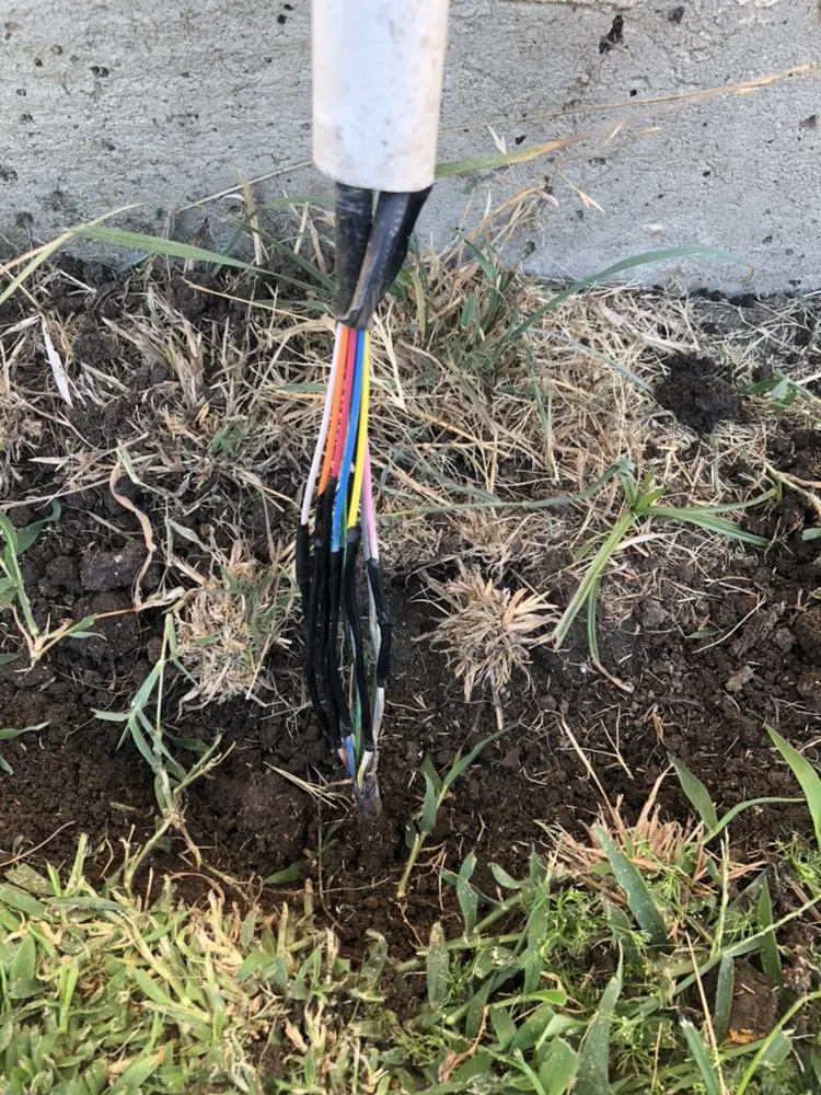 Professional landscape installation in Allen, TX by Brewer Irrigation