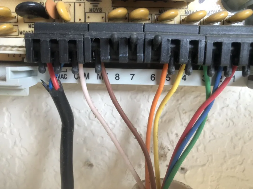 Reliable landscaping services experts serving Allen, TX - Brewer Irrigation