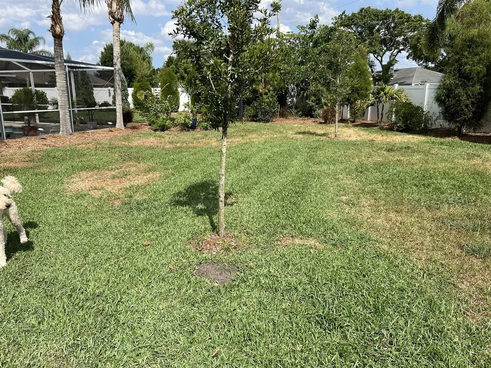 Affordable outdoor landscaping in Wauchula, FL - Brewer Landscape