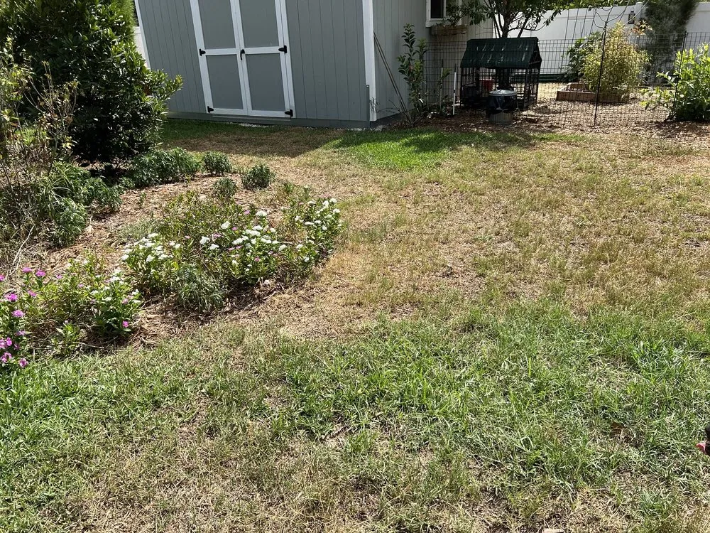Trusted yard maintenance for beautiful yards across Wauchula, FL - Brewer Landscape