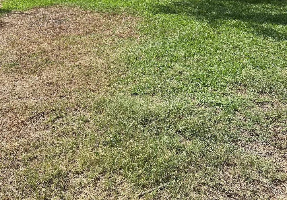 Reliable landscape installation experts serving Wauchula, FL - Brewer Landscape