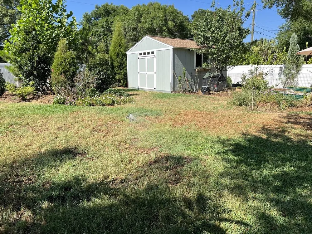 Top-rated lawn mowing service experts serving Wauchula, FL - Brewer Landscape