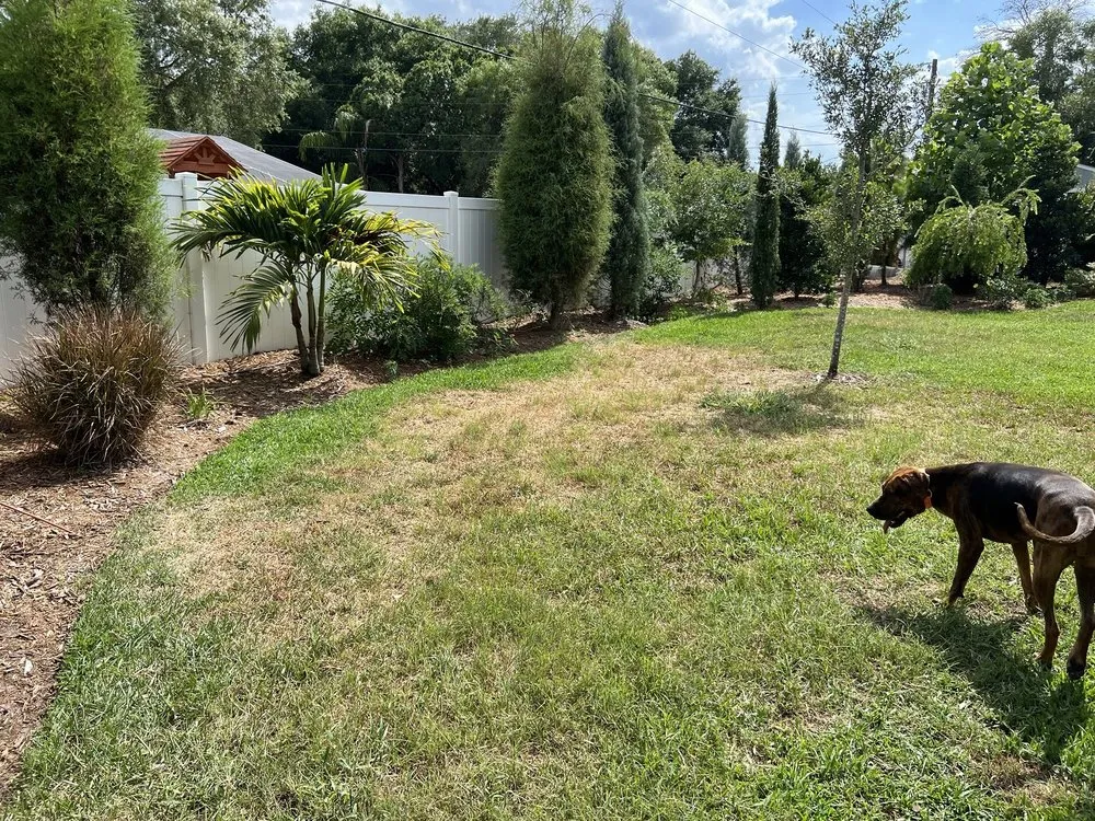 Top-rated yard maintenance with custom design in Wauchula, FL by Brewer Landscape