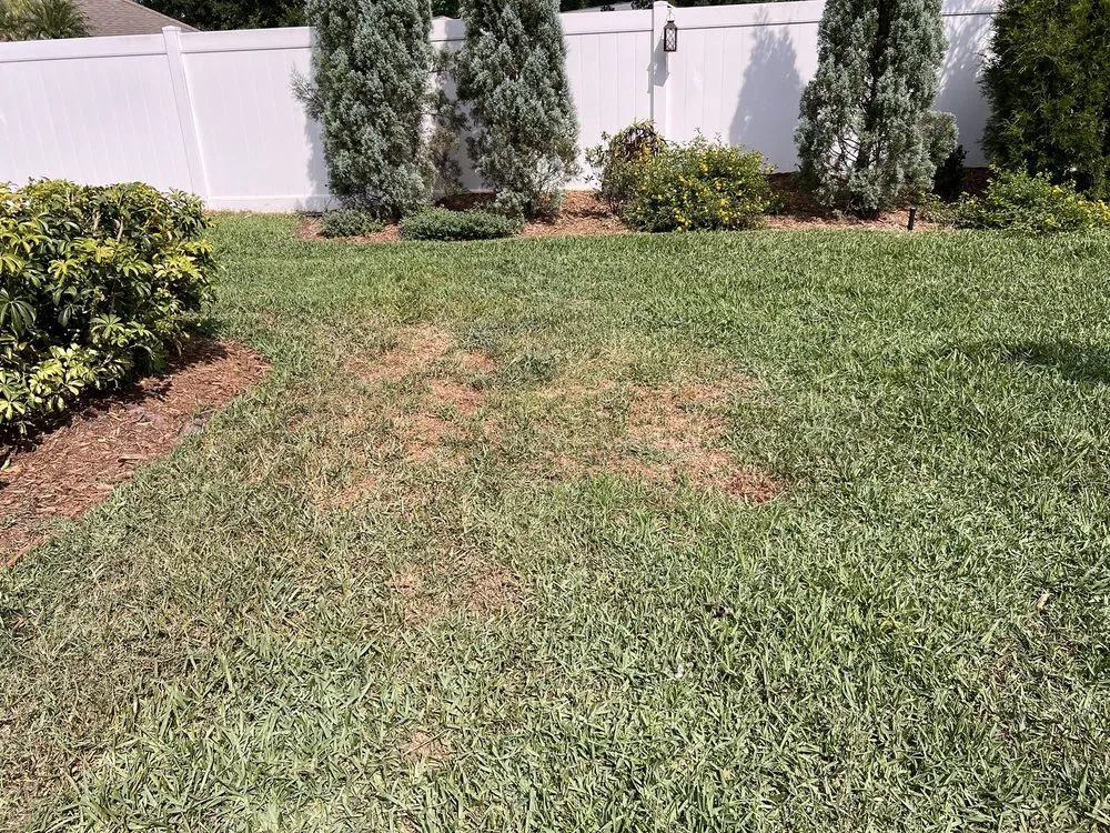 Top-rated landscape design for residential properties across Wauchula, FL - Brewer Landscape