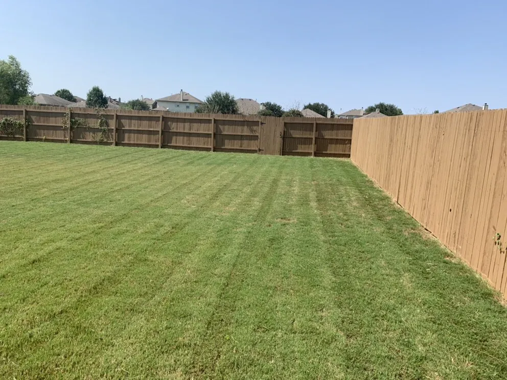 Professional lawn mowing service for year-round maintenance in New Braunfels, TX by Brewer Lawn Designs