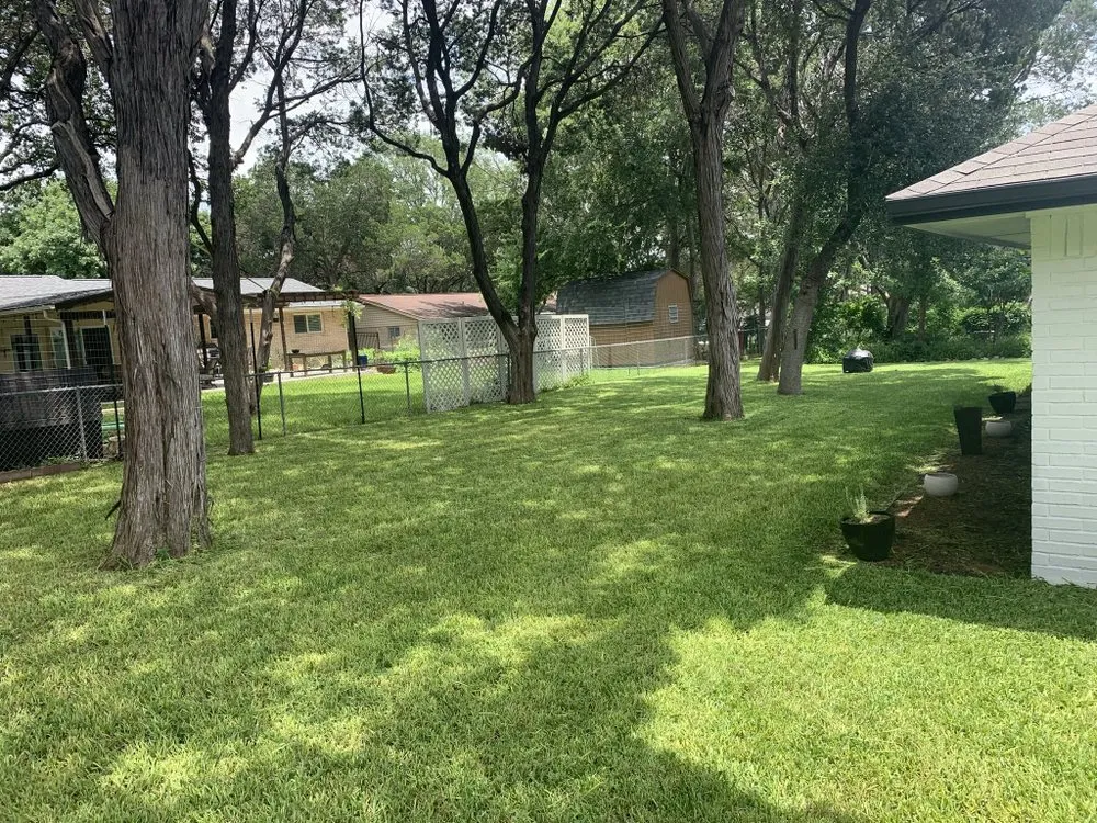 Affordable landscape installation in New Braunfels, TX by Brewer Lawn Designs