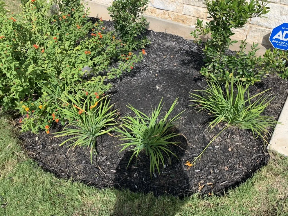 Reliable landscape design experts serving New Braunfels, TX - Brewer Lawn Designs