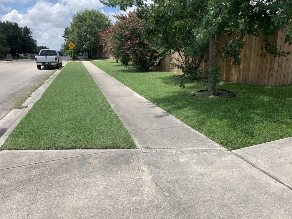 Expert yard cleanup service for outdoor upgrades in New Braunfels, TX by Brewer Lawn Designs