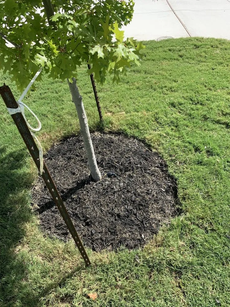 Custom garden landscaping in New Braunfels, TX - Brewer Lawn Designs