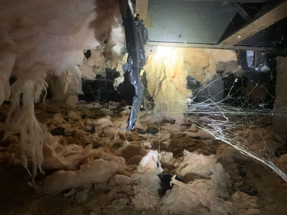 Expert landscape installation with custom design across Belmont, NC - Brewer Services