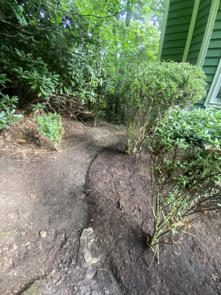 Expert lawn care service in Newland, NC by Brewers Dirt Works
