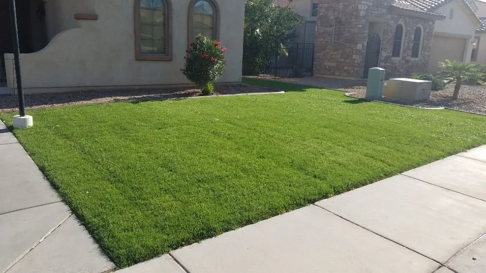 Reliable lawn care service for homes in Maricopa, AZ by Brewers Irrigation