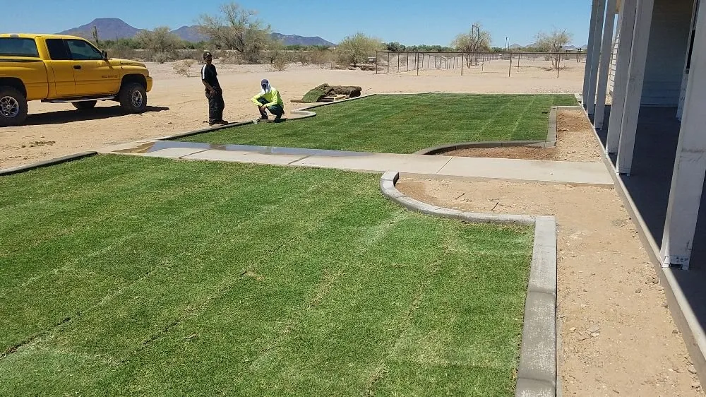 Top-rated residential landscaping for beautiful yards in Maricopa, AZ by Brewers Irrigation