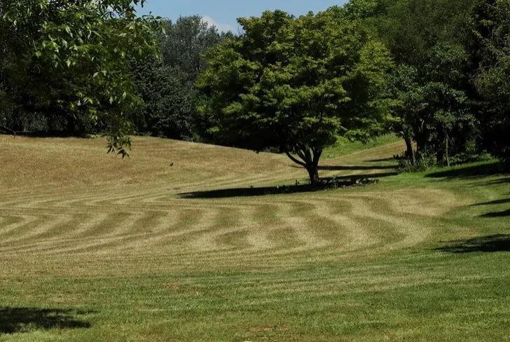 Top-rated outdoor landscaping in Belmont, NC by Brewers LawnCare