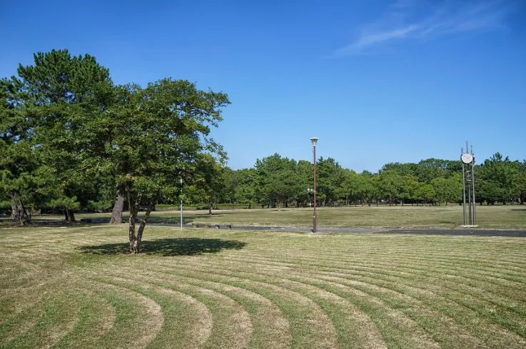 Local landscape design for year-round maintenance in Belmont, NC by Brewers LawnCare