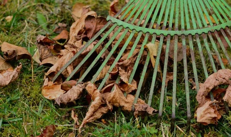 Professional outdoor landscaping in Belmont, NC - Brewers LawnCare