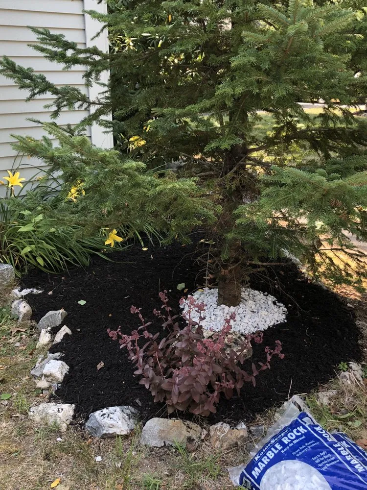 Professional lawn mowing service in Wiscasset, ME by Brewer's Property Service