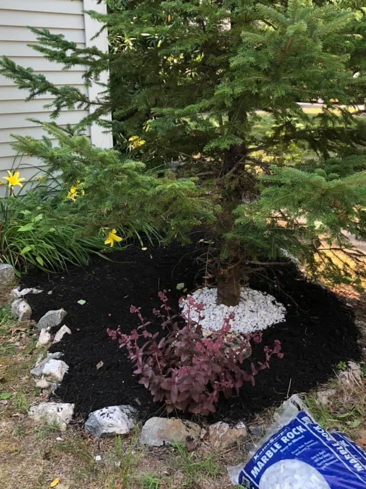 Local yard maintenance in Wiscasset, ME by Brewer's Property Service