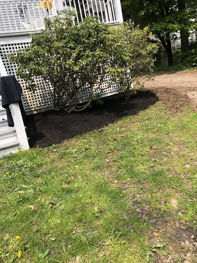 Affordable lawn mowing service for beautiful yards in Wiscasset, ME by Brewer's Property Service