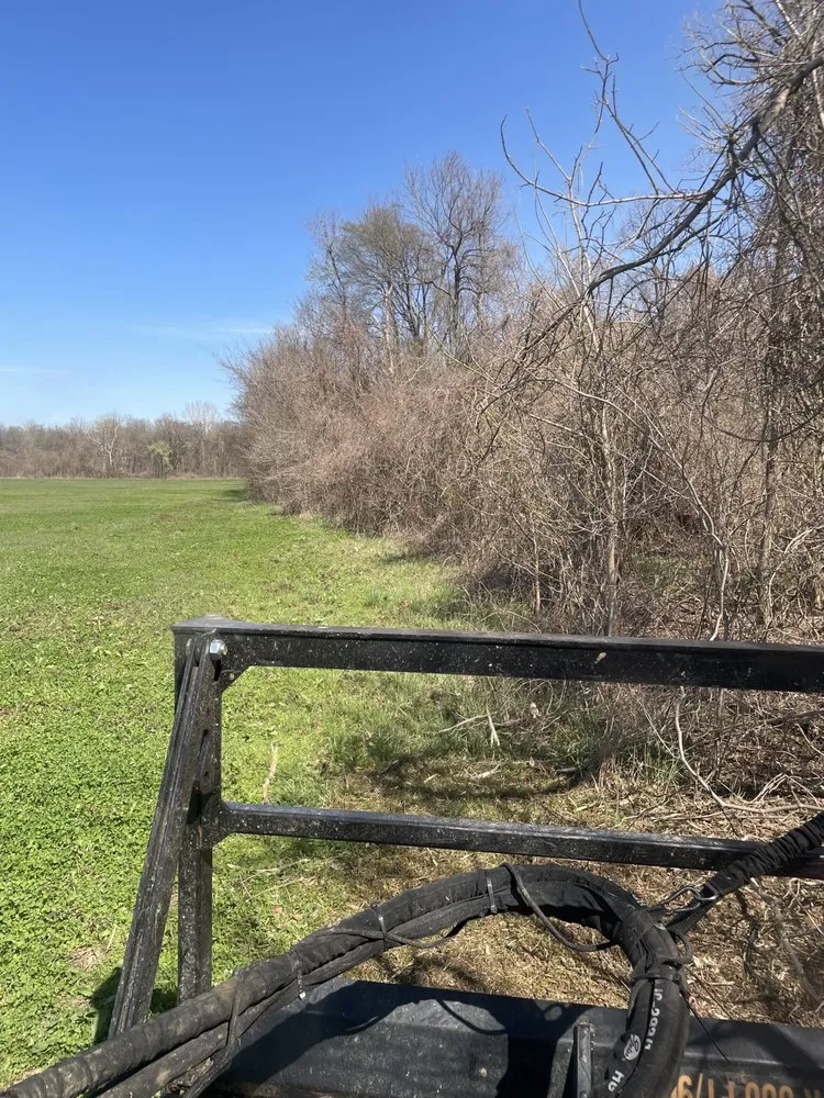 Affordable lawn mowing service for homes in Halls, TN by Brewster Land Improvement