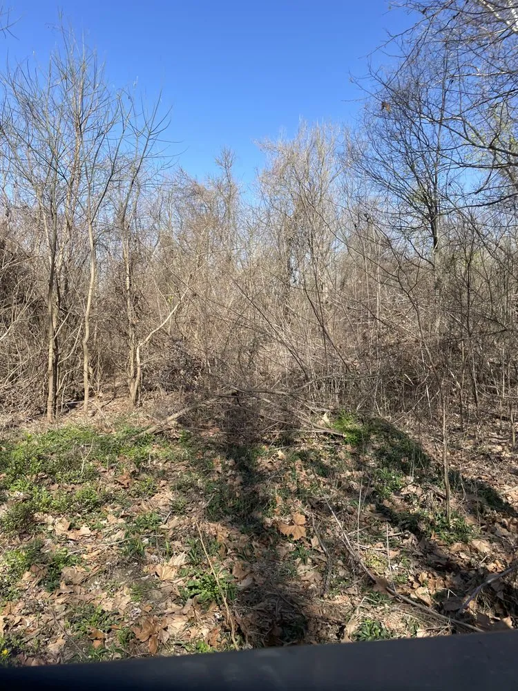 Top-rated outdoor landscaping in Halls, TN - Brewster Land Improvement