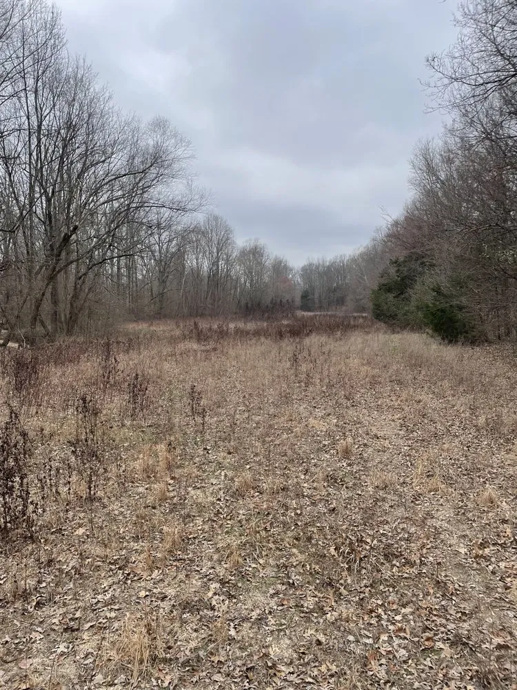 Local landscape installation in Halls, TN by Brewster Land Improvement