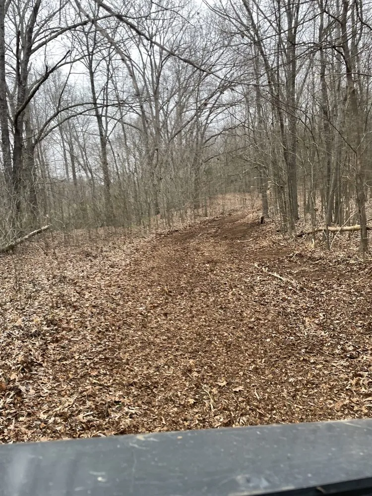 Local lawn mowing service in Halls, TN by Brewster Land Improvement