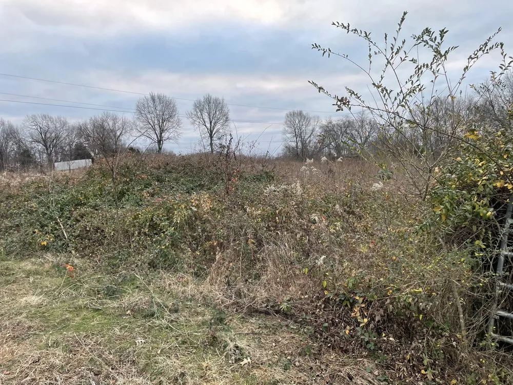 Local yard maintenance for year-round maintenance across Halls, TN - Brewster Land Improvement