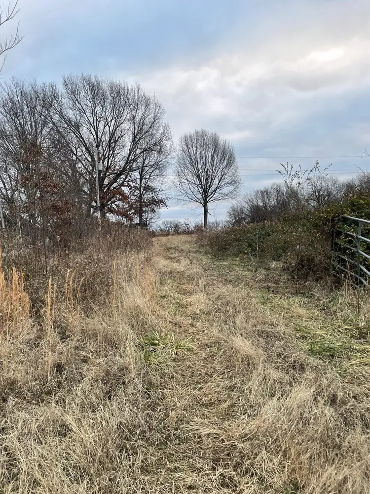 Expert garden landscaping in Halls, TN - Brewster Land Improvement