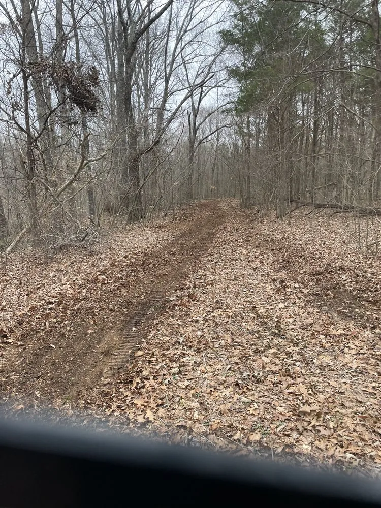 Expert yard maintenance near you across Halls, TN - Brewster Land Improvement