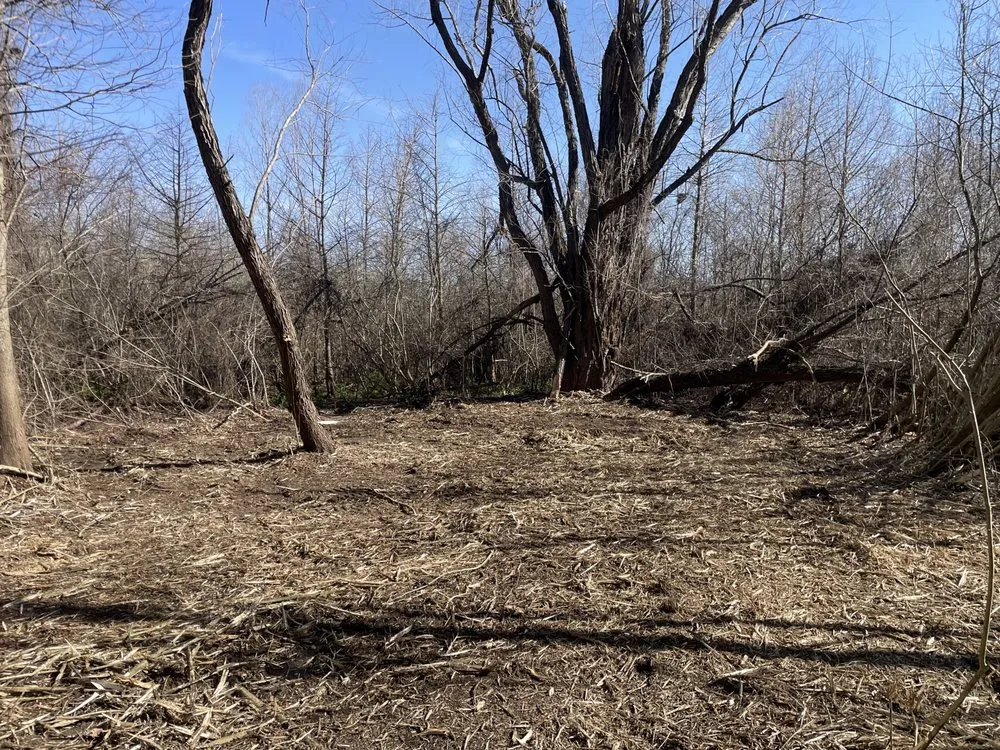 Trusted landscape installation experts serving Halls, TN - Brewster Land Improvement