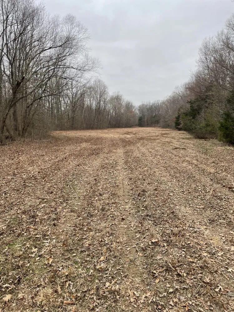 Expert landscape design in Halls, TN - Brewster Land Improvement